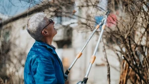 Pielęgnacja trawnika i rabat w marcu. Jak obudzić ogród po zimie?