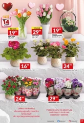Włącz promocje! - Twój Market