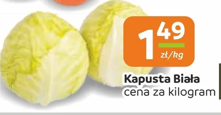 Білокачанна капуста