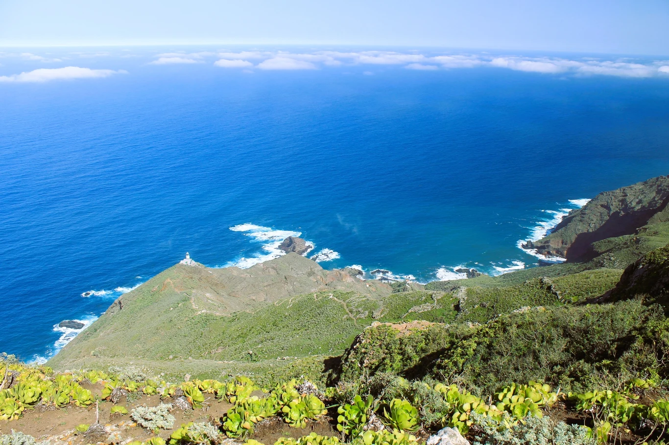 Panorama klifowego wybrzeża porośniętego zielenią opadającego ku intensywnie niebieskiemu oceanowi, w oddali na horyzoncie widać linię białych chmur.