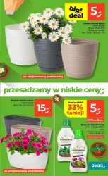Miłosne smaki i rabaty do 89% - Dealz