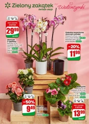 Romantyczne smaki w dobrych cenach - Dino