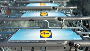W czwartek będą kolejki. Lidl odpala promocje, które wyczyszczą półki w kilka godzin