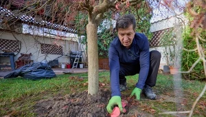 W lutym rozpoczynają się prace w ogrodzie. Od nich zależy, czy rośliny będą zdrowe