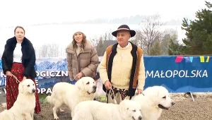 Góralski folklor w Małopolsce – to trzeba zobaczyć w ferie