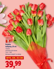 Букет тюльпанів Polskie kwiaty