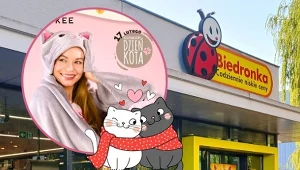 Koci szał w Biedronce. Hity dla kociarzy od 12 lutego