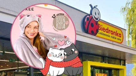 Koci szał w Biedronce. Hity dla kociarzy od 12 lutego