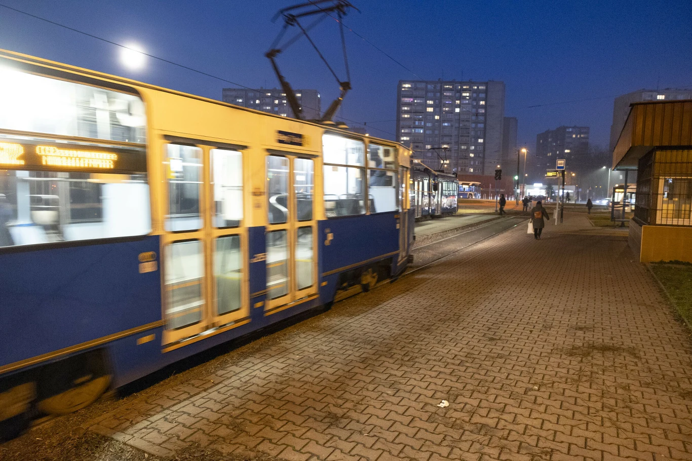 Przygoda psa w krakowskim tramwaju. Skończyło się dobrze Przygoda psa w krakowskim tramwaju. Skończyło się dobrze