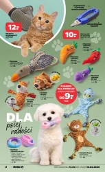 Świetowy dzień kota! - Netto