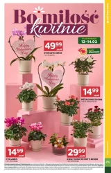 Rabaty, które kuszą od wejścia - Stokrotka