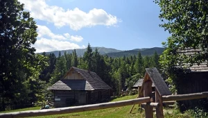 To największa wieś w Polsce. Ma większą powierzchnię niż niektóre państwa 