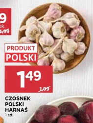 Часник Polski