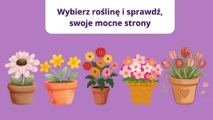 Test, który zdradzi, jakim jesteś człowiekiem. To cenią w tobie inni