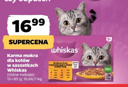 Вологий корм для котів Whiskas