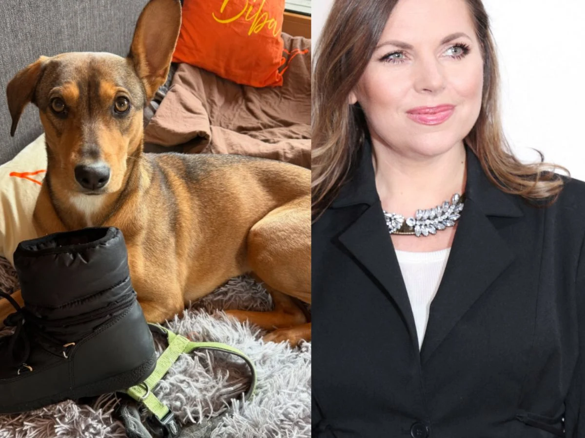 Po lewej stronie pies leżący na szarej narzucie obok czarnego buta i smyczy, w tle poduszka oraz koc na sofie. Po prawej portret kobiety w ciemnej marynarce, z jasną bluzką i eleganckim naszyjnikiem, z delikatnym makijażem i długimi włosami.