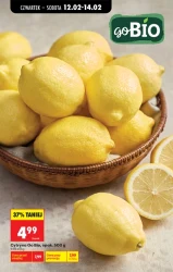 Wielkie okazje na co dzień – Biedronka