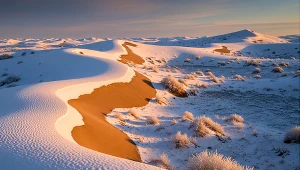 Niezwykłe zjawisko na Saharze. Występuje coraz częściej