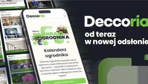 Wystartowała nowa Deccoria.pl. Teraz bliżej domu i ogrodu milionów Polaków