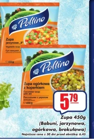 Zupa mrożona Poltino