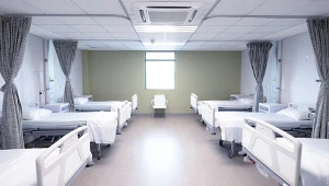 Azja. Wirus Nipah w Indiach i Bangladeszu. WHO zabrało głos