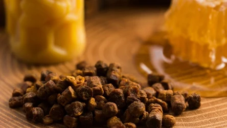 Propolis to substancja produkowana przez pszczoły o silnym działaniu prozdrowotnym 