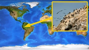 Cuchnący skarb stworzył andyjską potęgę. Na długo przed Inkami