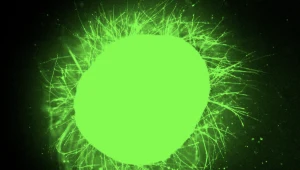 "Tańczące cząsteczki" odbudowują rdzeń kręgowy. Przełom w laboratorium