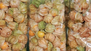 Miechunka w marketach występuje często pod nazwą physalis