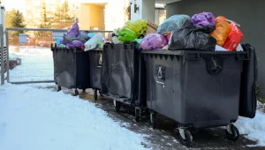 Sąsiad z bloku obok podrzuca śmieci do altanki. Za problem płaci cały blok
