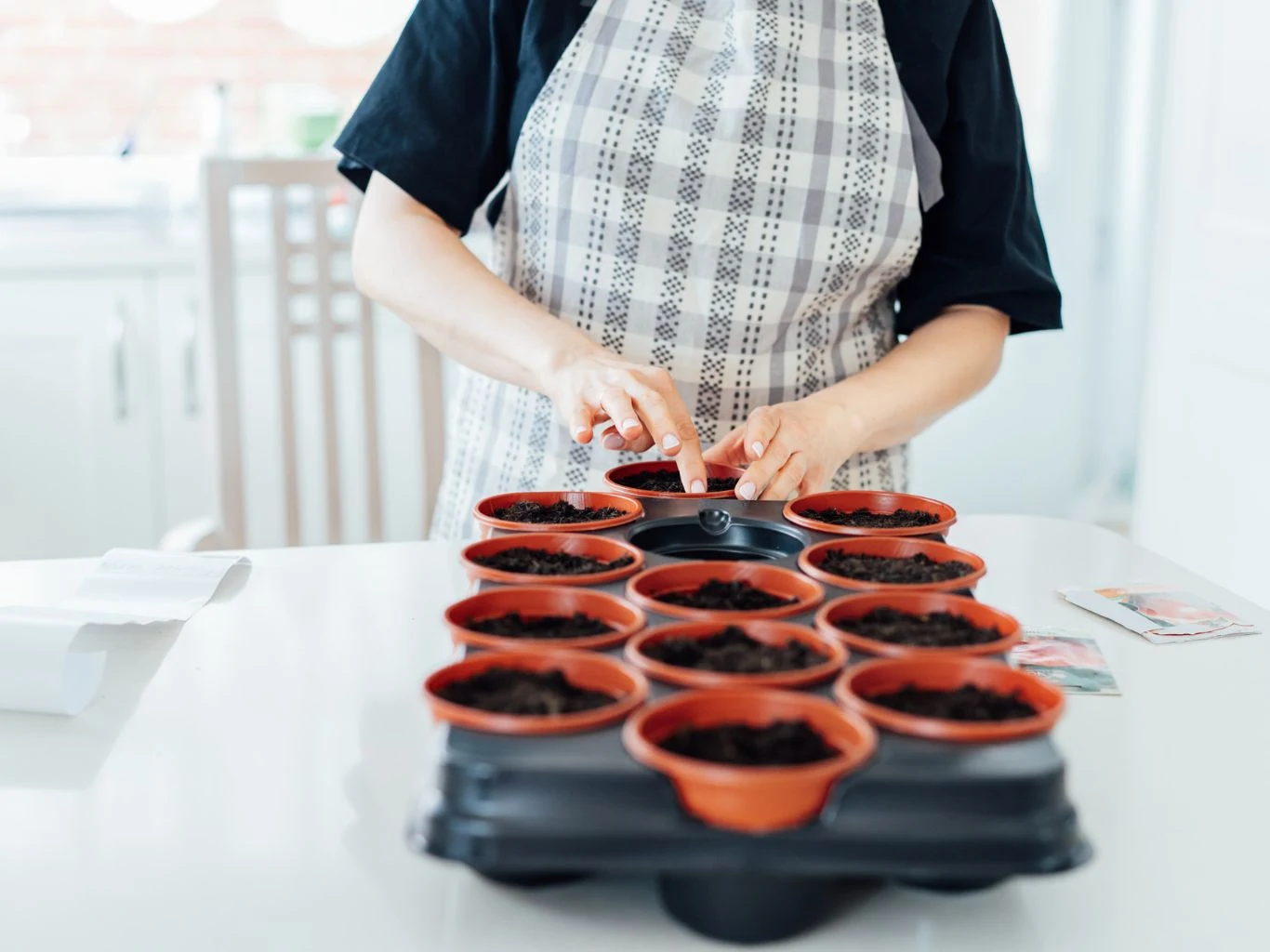 Te warzywa i zioła trzeba wysiać już w lutym. Dla wielu marzec to zbyt późny termin. Osoba w fartuchu sadzi nasiona lub przygotowuje doniczki z ziemią, na stole ustawionych jest kilka małych doniczek w plastikowej podstawce.