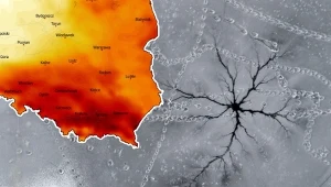 W Polsce trwa odwilż i w piątek odczujemy ją w wielu miejscach. Na północy trzeba uważać na marznące opady, z czasem popada też śnieg