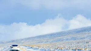 Ostrzeżenie dla Arktyki. Czeka ją inwazja aż 2 tys. gatunków