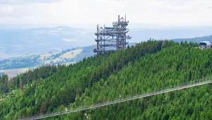 Spacer wiszącym mostem to niemała dawka emocji 