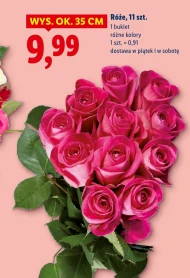 Bukiet róż Ok.
