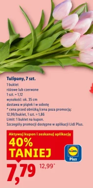Bukiet tulipanów