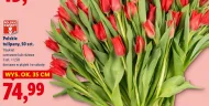 Bukiet tulipanów Polskie kwiaty