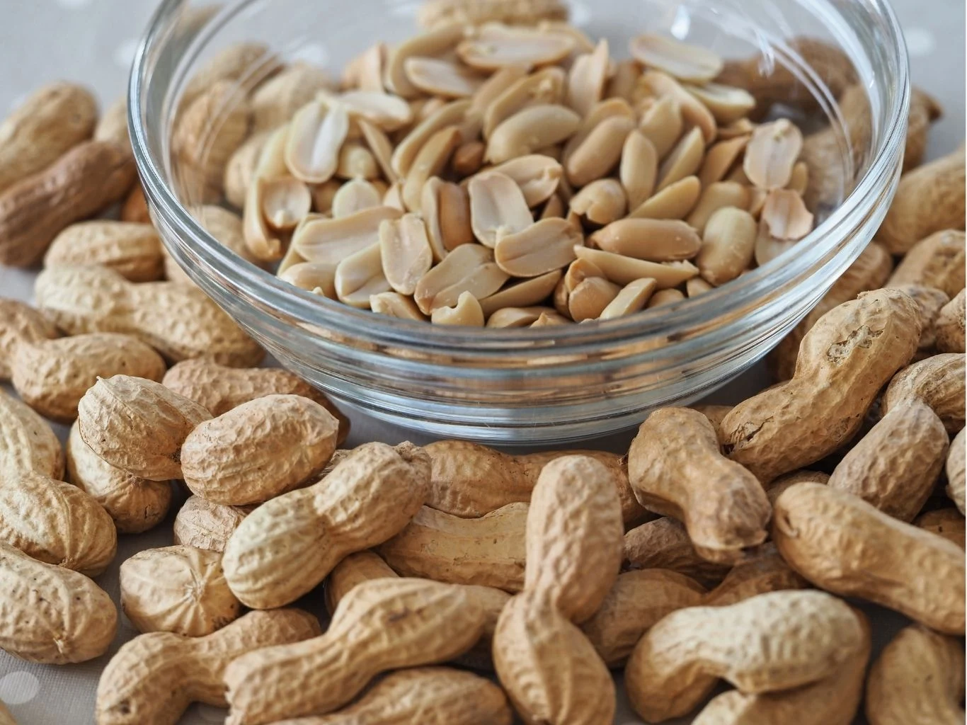 Szklana miska wypełniona łuskanymi orzeszkami ziemnymi otoczona przez orzechy ziemne w skórkach, leżące luzem na stole.