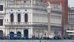 Delfin Mimmo w Wenecji będzie monitorowany