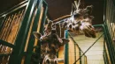 Zoo w Gdańsku ucierpiało z powodu ciężkiej zimy