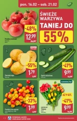 Oszczędzaj nawet do 83% - Aldi