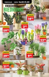 Zakupy, które się opłacają - Biedronka