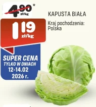 Kapusta biała