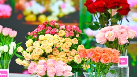 ​Język miłości ukryty w płatkach. Kasia Joda o symbolice walentynkowych kwiatów