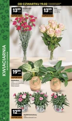 Mega okazje dnia - Delikatesy Centrum