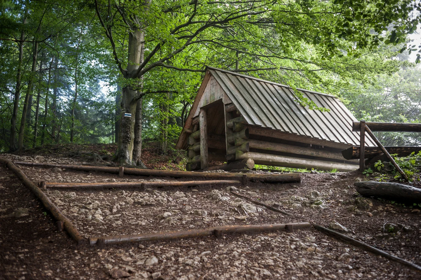 Drewniana wiata z bali postawiona w lesie na kamienisto-ziemistej polanie, otoczona zielonymi drzewami i naturalnym ogrodzeniem z drewnianych bali.