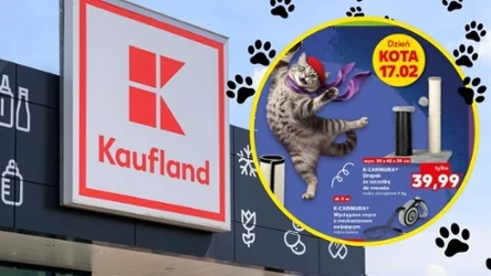 Dzień Kota już jutro. W Kauflandzie ruszyła promocja na akcesoria