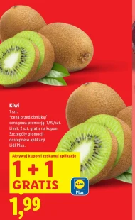 Kiwi Plus-Plus