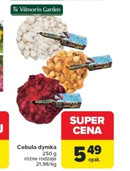 Зелена цибуля Vilmorin Garden