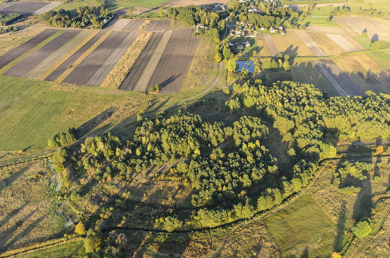 Grodzisko w Chodliku przejdzie rewitalizację. Teren zostanie oczyszczony, pojawi się nowa infrastruktura. Widok z lotu ptaka na zróżnicowany krajobraz wiejski z polami uprawnymi, lasem oraz zabudowaniami w oddali. Wyraźne podziały działek rolnych oraz naturalna zieleń kontrastują z geometrycznymi pasami pól.